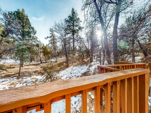 Big Bear Home 1022890