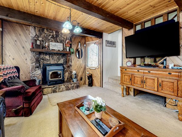 Big Bear Home 1022891