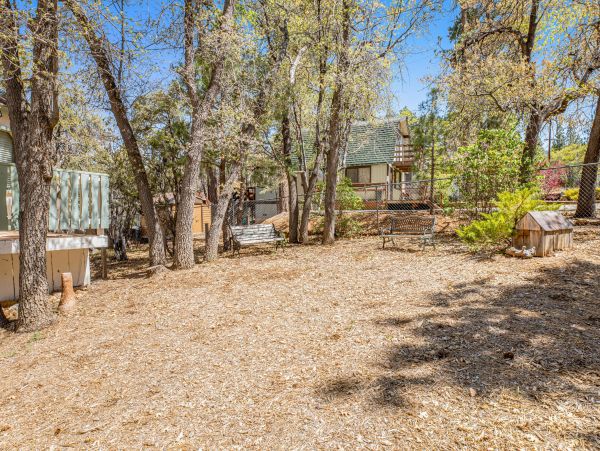 Big Bear Home 1022891
