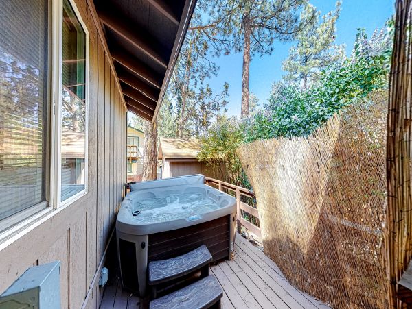 Big Bear Home 1022893