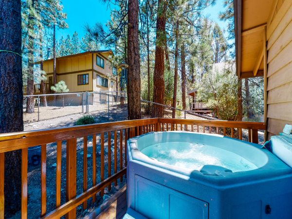 Big Bear Home 1022895