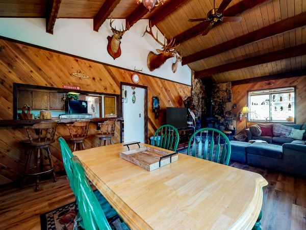 Big Bear Home 1022895