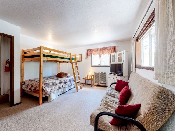 Big Bear Home 1022895