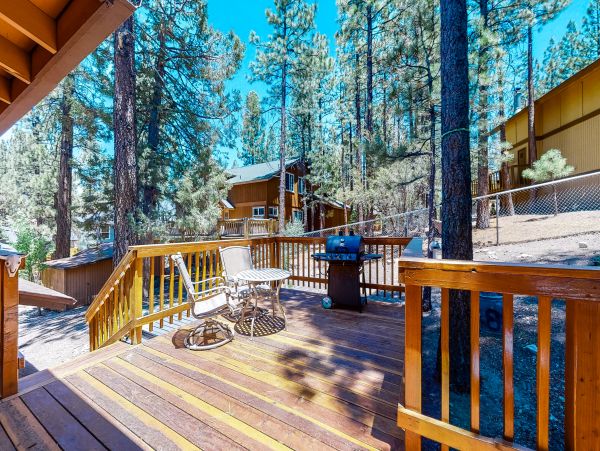 Big Bear Home 1022895