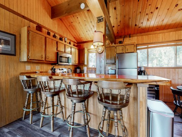 Big Bear Home 1022896