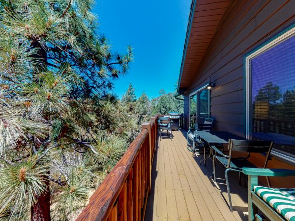 Big Bear Home 1022896