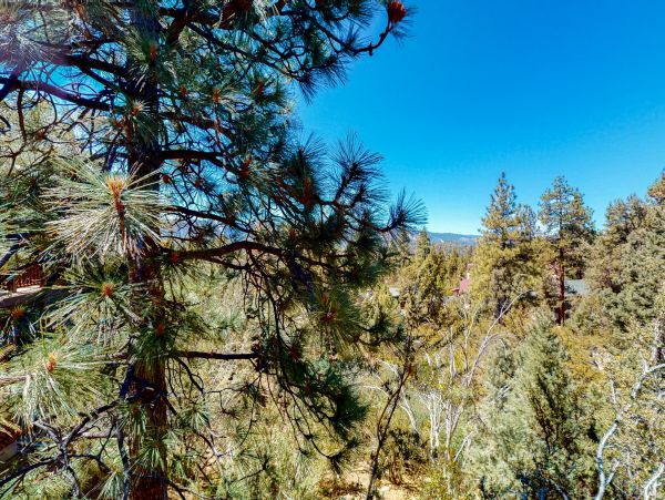 Big Bear Home 1022896