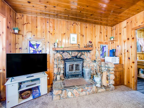 Big Bear Home 1022899