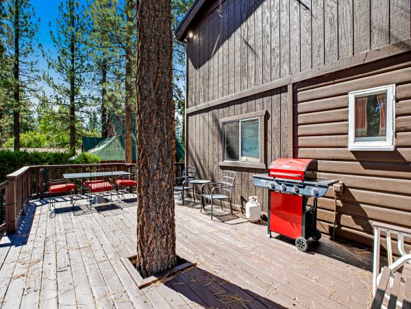 Big Bear Home 1022899