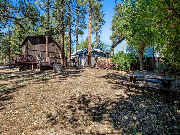 Big Bear Home 1022899