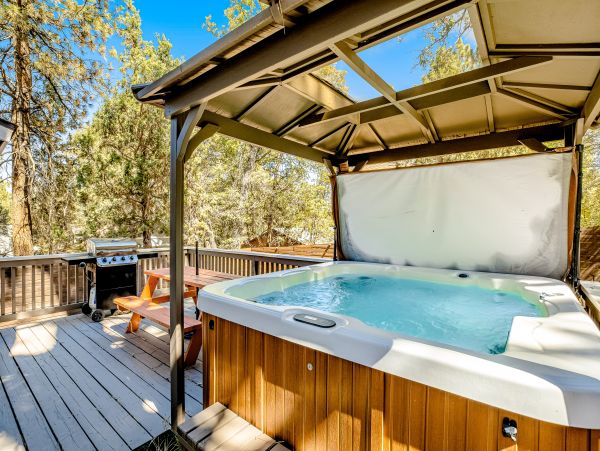Big Bear Home 1022900