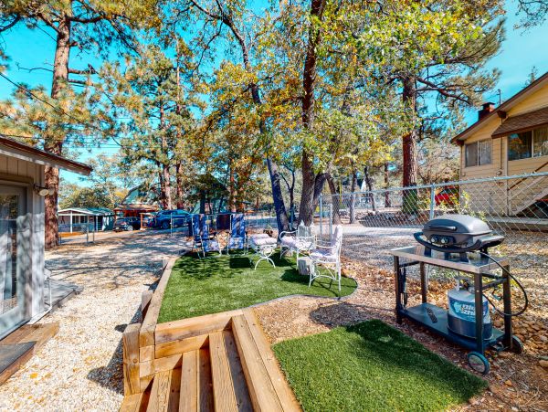 Big Bear Home 1022901