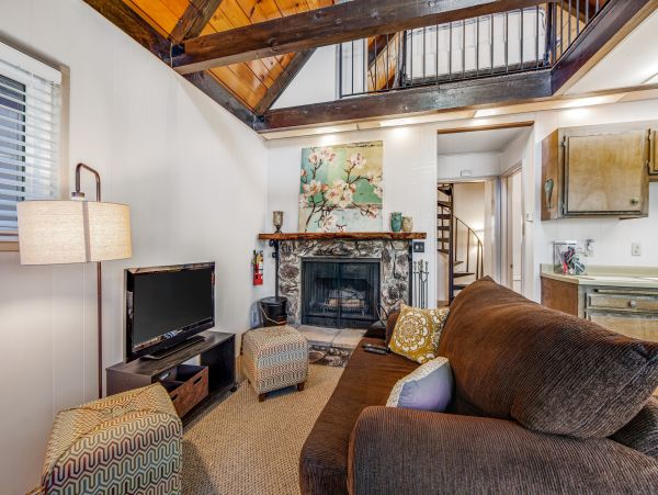 Big Bear Home 1022904