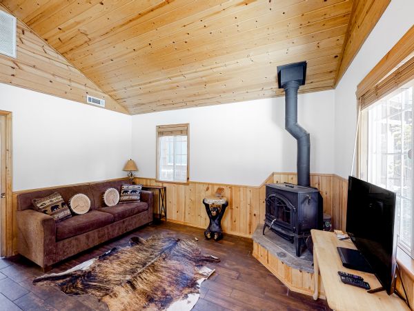 Big Bear Home 1022906