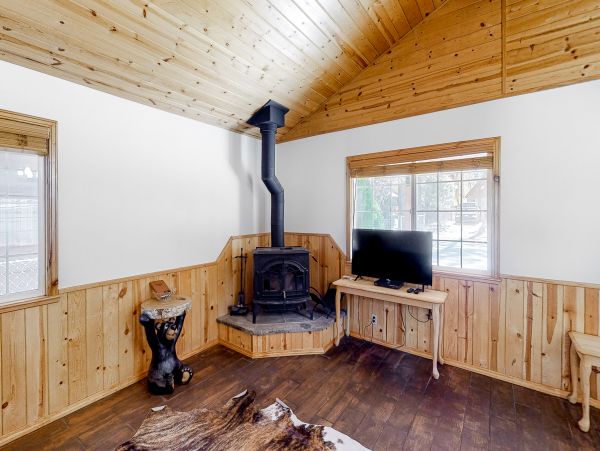 Big Bear Home 1022906