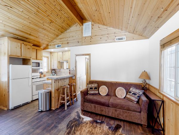 Big Bear Home 1022906
