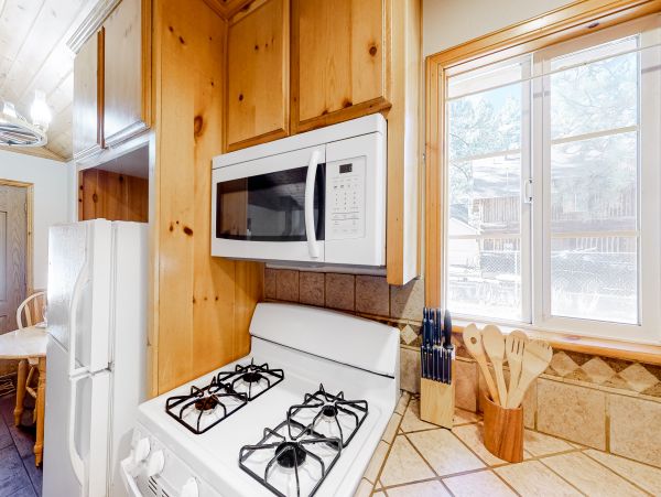 Big Bear Home 1022906