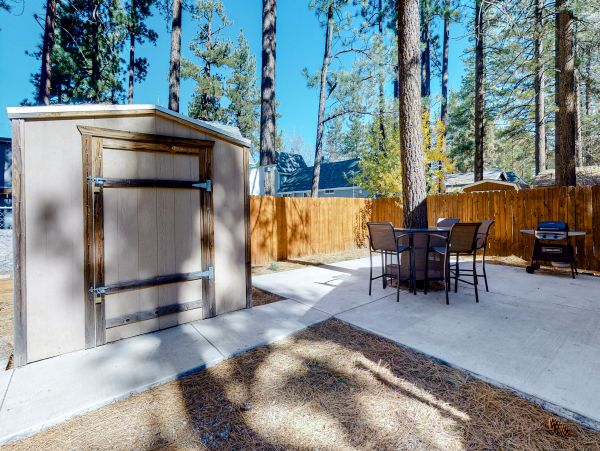 Big Bear Home 1022906