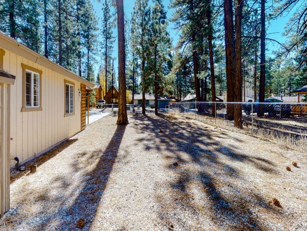 Big Bear Home 1022906