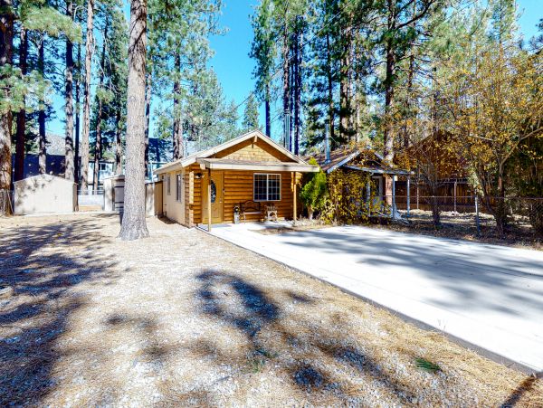 Big Bear Home 1022906