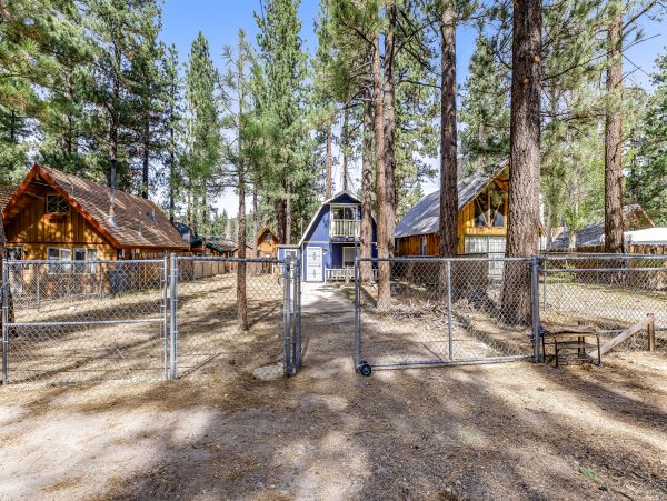 Big Bear Home 1022907