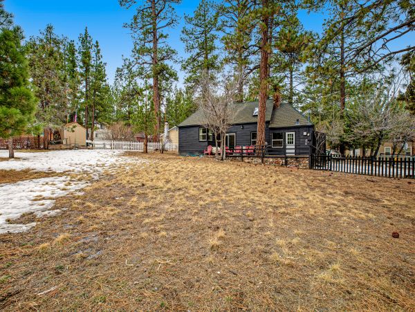 Big Bear Home 1022908