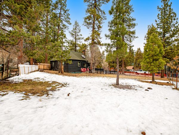 Big Bear Home 1022908