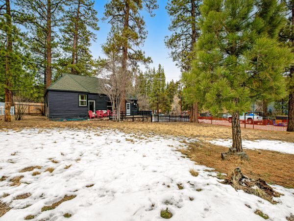 Big Bear Home 1022908