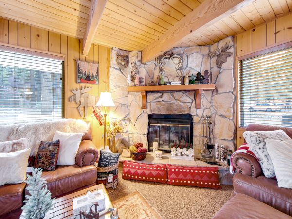 Big Bear Home 1022912