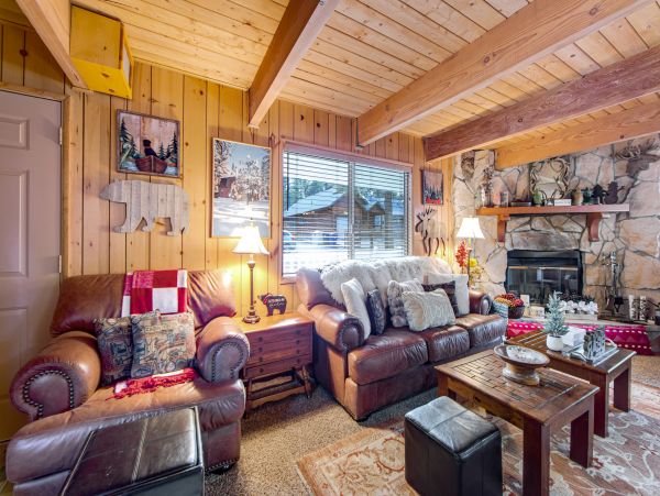 Big Bear Home 1022912