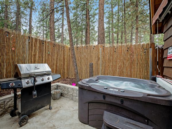 Big Bear Home 1022914