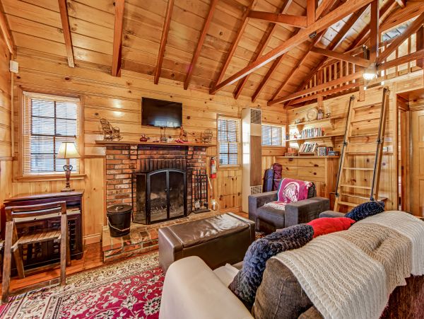 Big Bear Home 1022915
