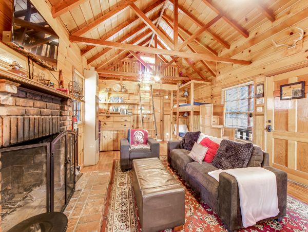 Big Bear Home 1022915