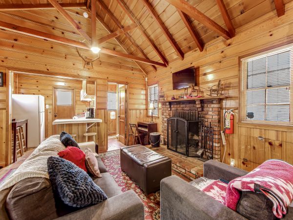 Big Bear Home 1022915