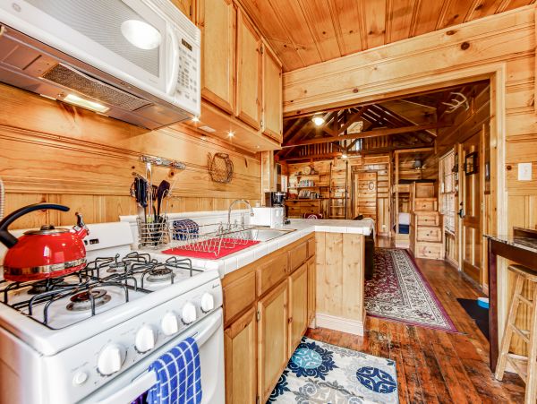 Big Bear Home 1022915