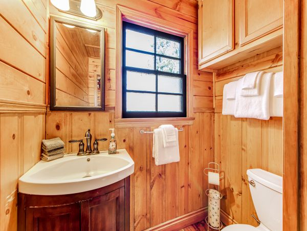 Big Bear Home 1022915