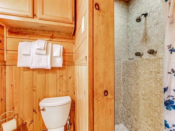 Big Bear Home 1022915