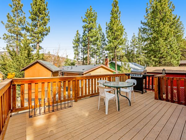 Big Bear Home 1022915