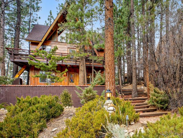 Big Bear Home 1022916