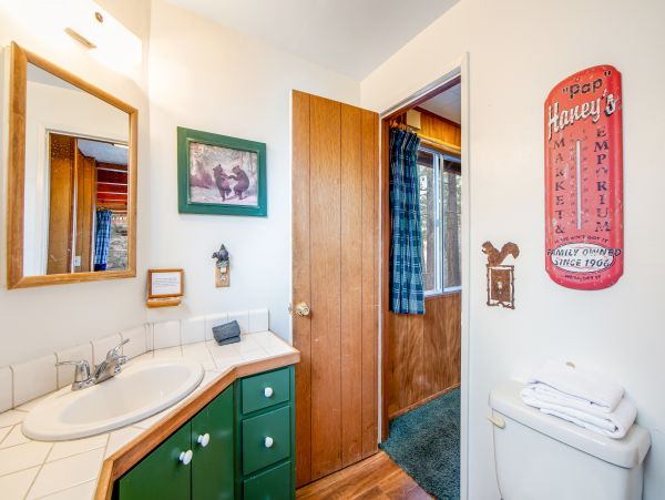 Big Bear Home 1022916