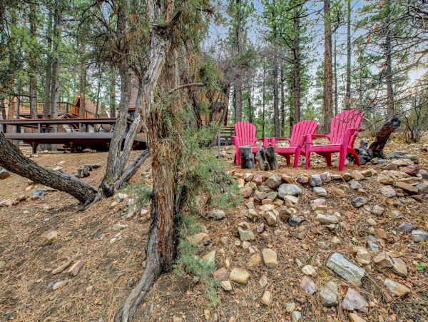 Big Bear Home 1022916