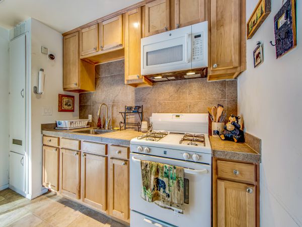 Big Bear Home 1022917