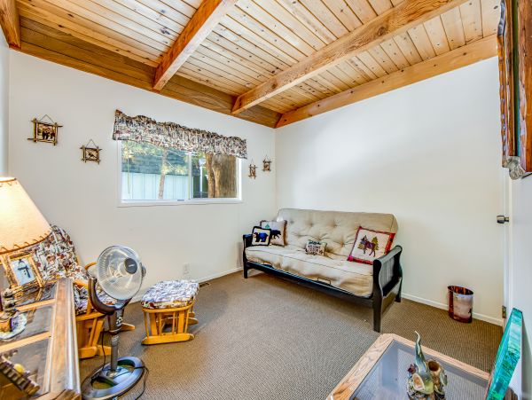 Big Bear Home 1022917