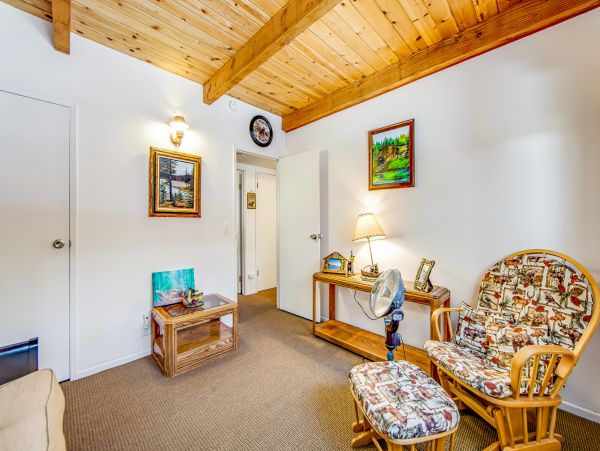 Big Bear Home 1022917