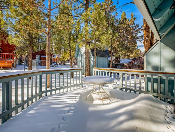 Big Bear Home 1022917