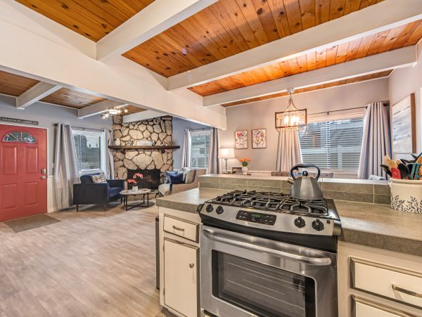 Big Bear Home 1022919