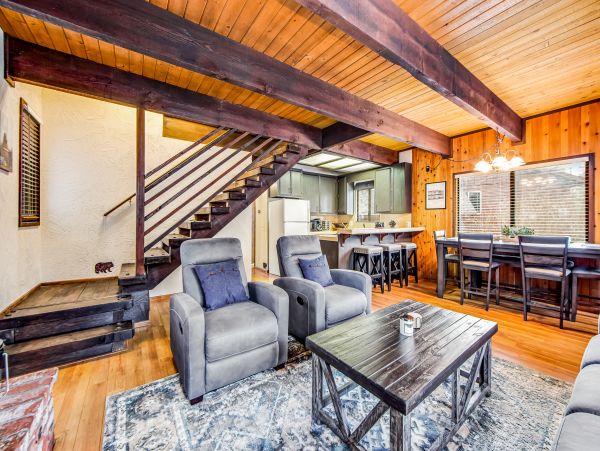Big Bear Home 1022921