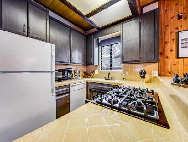 Big Bear Home 1022921