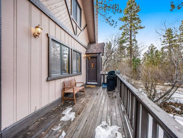 Big Bear Home 1022921