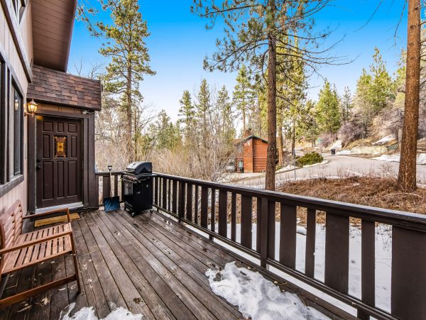 Big Bear Home 1022921